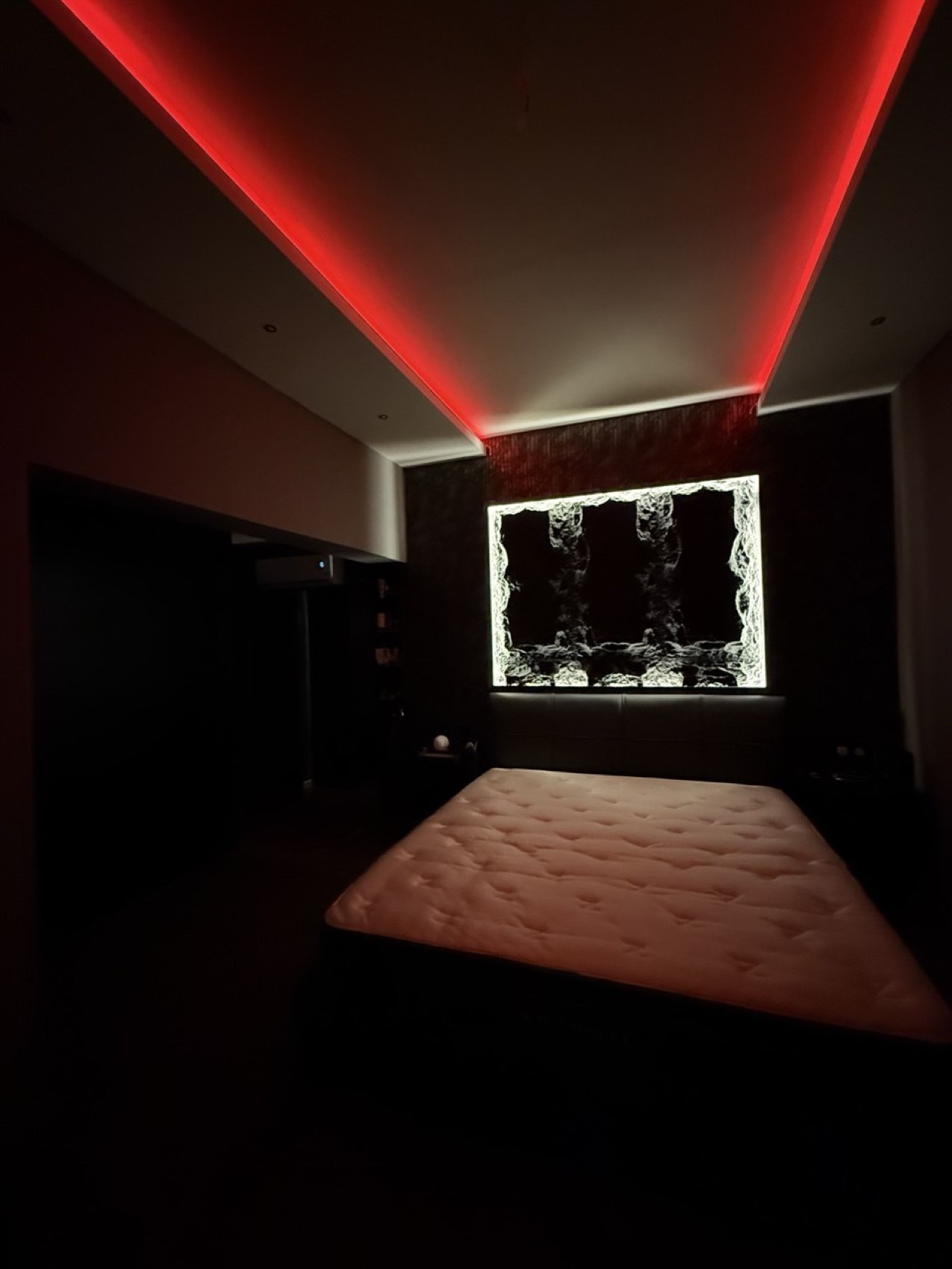 Bold dark aesthetic bedroom designed and built by Rise Developers